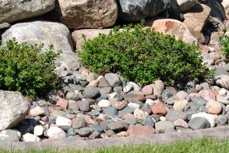Beyond Mulch: Why Decorative Rock is Your Landscape's New Best Friend Thumbnail