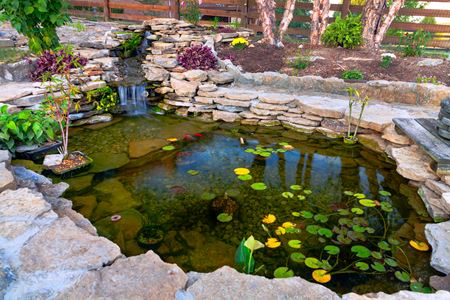 Is Your Pond a Problem? Common Issues and Easy Lake & Pond Management Fixes Thumbnail