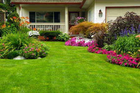 The Benefits of Expert Lawn Maintenance Thumbnail