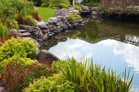 Lake & Pond Management Thumbnail