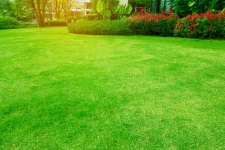 Lawn Maintenance Thumbnail